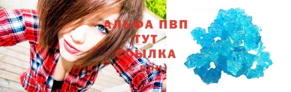 индика Белоозёрский