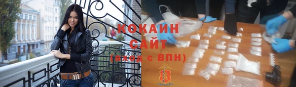 индика Белоозёрский