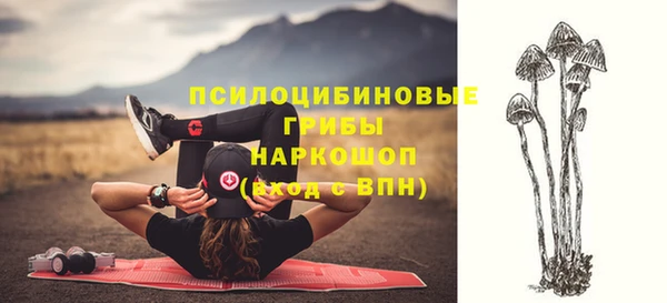 крисы Белокуриха