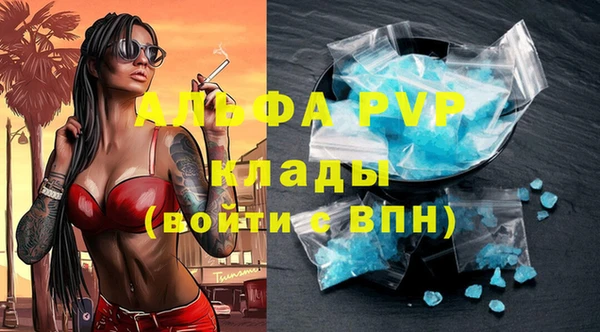 индика Белоозёрский