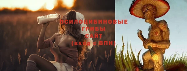 индика Белоозёрский