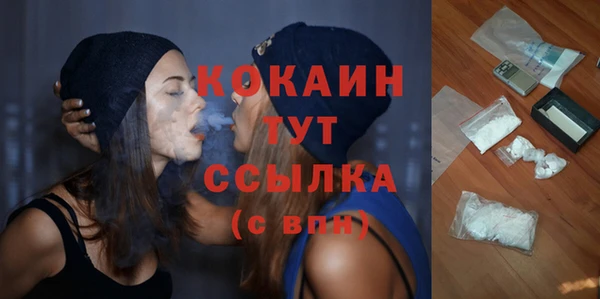 крисы Белокуриха