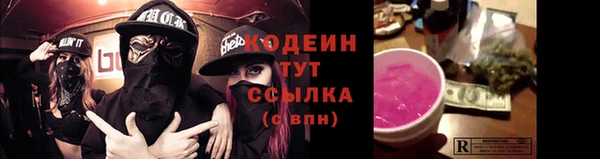 крисы Белокуриха