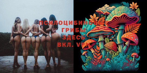 молекула духа Баксан