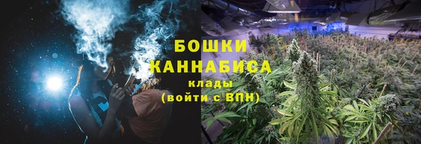 крисы Белокуриха