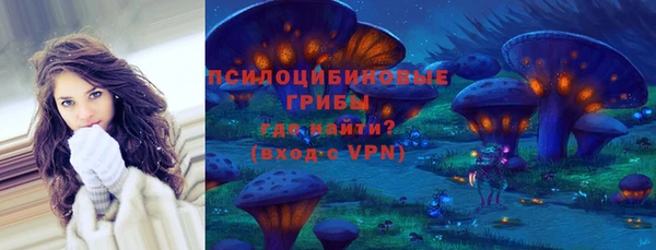 индика Белоозёрский